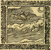 An illustration from Omnia Andreae Alciati v.c. emblemata, cum commentariis, quibus emblematum aperta origine mens auctoris explicatur, & obscura omnia, dubiáque illustrantur Adiectae ad calcem Notae posteriores (1589)
