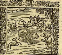 An illustration from Omnia Andreae Alciati v.c. emblemata, cum commentariis, quibus emblematum aperta origine mens auctoris explicatur, & obscura omnia, dubiáque illustrantur Adiectae ad calcem Notae posteriores (1589)