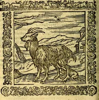 An illustration from Omnia Andreae Alciati v.c. emblemata, cum commentariis, quibus emblematum aperta origine mens auctoris explicatur, & obscura omnia, dubiáque illustrantur Adiectae ad calcem Notae posteriores (1589)