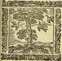 An illustration from Omnia Andreae Alciati v.c. emblemata, cum commentariis, quibus emblematum aperta origine mens auctoris explicatur, & obscura omnia, dubiáque illustrantur Adiectae ad calcem Notae posteriores (1589)