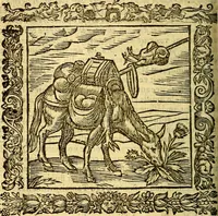An illustration from Omnia Andreae Alciati v.c. emblemata, cum commentariis, quibus emblematum aperta origine mens auctoris explicatur, & obscura omnia, dubiáque illustrantur Adiectae ad calcem Notae posteriores (1589)