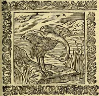An illustration from Omnia Andreae Alciati v.c. emblemata, cum commentariis, quibus emblematum aperta origine mens auctoris explicatur, & obscura omnia, dubiáque illustrantur Adiectae ad calcem Notae posteriores (1589)