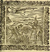 An illustration from Omnia Andreae Alciati v.c. emblemata, cum commentariis, quibus emblematum aperta origine mens auctoris explicatur, & obscura omnia, dubiáque illustrantur Adiectae ad calcem Notae posteriores (1589)