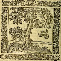 An illustration from Omnia Andreae Alciati v.c. emblemata, cum commentariis, quibus emblematum aperta origine mens auctoris explicatur, & obscura omnia, dubiáque illustrantur Adiectae ad calcem Notae posteriores (1589)