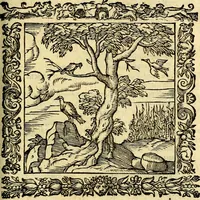 An illustration from Omnia Andreae Alciati v.c. emblemata, cum commentariis, quibus emblematum aperta origine mens auctoris explicatur, & obscura omnia, dubiáque illustrantur Adiectae ad calcem Notae posteriores (1589)