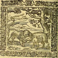 An illustration from Omnia Andreae Alciati v.c. emblemata, cum commentariis, quibus emblematum aperta origine mens auctoris explicatur, & obscura omnia, dubiáque illustrantur Adiectae ad calcem Notae posteriores (1589)