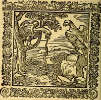 An illustration from Omnia Andreae Alciati v.c. emblemata, cum commentariis, quibus emblematum aperta origine mens auctoris explicatur, & obscura omnia, dubiáque illustrantur Adiectae ad calcem Notae posteriores (1589)