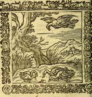 An illustration from Omnia Andreae Alciati v.c. emblemata, cum commentariis, quibus emblematum aperta origine mens auctoris explicatur, & obscura omnia, dubiáque illustrantur Adiectae ad calcem Notae posteriores (1589)