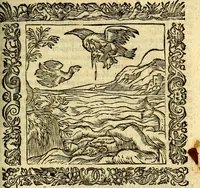 An illustration from Omnia Andreae Alciati v.c. emblemata, cum commentariis, quibus emblematum aperta origine mens auctoris explicatur, & obscura omnia, dubiáque illustrantur Adiectae ad calcem Notae posteriores (1589)