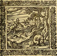 An illustration from Omnia Andreae Alciati v.c. emblemata, cum commentariis, quibus emblematum aperta origine mens auctoris explicatur, & obscura omnia, dubiáque illustrantur Adiectae ad calcem Notae posteriores (1589)