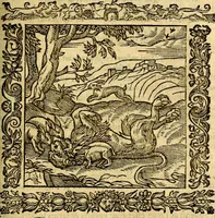 An illustration from Omnia Andreae Alciati v.c. emblemata, cum commentariis, quibus emblematum aperta origine mens auctoris explicatur, & obscura omnia, dubiáque illustrantur Adiectae ad calcem Notae posteriores (1589)