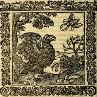An illustration from Omnia Andreae Alciati v.c. emblemata, cum commentariis, quibus emblematum aperta origine mens auctoris explicatur, & obscura omnia, dubiáque illustrantur Adiectae ad calcem Notae posteriores (1589)