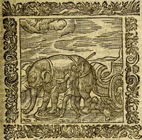 An illustration from Omnia Andreae Alciati v.c. emblemata, cum commentariis, quibus emblematum aperta origine mens auctoris explicatur, & obscura omnia, dubiáque illustrantur Adiectae ad calcem Notae posteriores (1589)