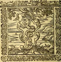 An illustration from Omnia Andreae Alciati v.c. emblemata, cum commentariis, quibus emblematum aperta origine mens auctoris explicatur, & obscura omnia, dubiáque illustrantur Adiectae ad calcem Notae posteriores (1589)