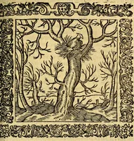 An illustration from Omnia Andreae Alciati v.c. emblemata, cum commentariis, quibus emblematum aperta origine mens auctoris explicatur, & obscura omnia, dubiáque illustrantur Adiectae ad calcem Notae posteriores (1589)