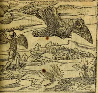 An illustration from Omnia D. And. Alciati emblemata : ad quae singula, praeter concinnas acutásque inscriptiones, lepidas & expressas imagines, ac caetera omnia, quae prioribus nostris editionibus cúm ad eorum distinctionem, tum ad ornatum & correctionem adhibita continebantur, : nunc primùm perelegantia persubtiliáq[ue] adiecta sunt epimuthia, quibus emblematum amplitudo quaecunq[ue] in iis dubia sunt aut obscura, tanquam perspicuis illustrantur (1566)