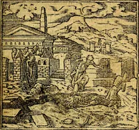 Picture 5 of 238 from Omnia D. And. Alciati emblemata : ad quae singula, praeter concinnas acutásque inscriptiones, lepidas & expressas imagines, ac caetera omnia, quae prioribus nostris editionibus cúm ad eorum distinctionem, tum ad ornatum & correctionem adhibita continebantur, : nunc primùm perelegantia persubtiliáq[ue] adiecta sunt epimuthia, quibus emblematum amplitudo quaecunq[ue] in iis dubia sunt aut obscura, tanquam perspicuis illustrantur (1566), leaf 14