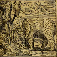 Picture 136 of 238 from Omnia D. And. Alciati emblemata : ad quae singula, praeter concinnas acutásque inscriptiones, lepidas & expressas imagines, ac caetera omnia, quae prioribus nostris editionibus cúm ad eorum distinctionem, tum ad ornatum & correctionem adhibita continebantur, : nunc primùm perelegantia persubtiliáq[ue] adiecta sunt epimuthia, quibus emblematum amplitudo quaecunq[ue] in iis dubia sunt aut obscura, tanquam perspicuis illustrantur (1566), leaf 148