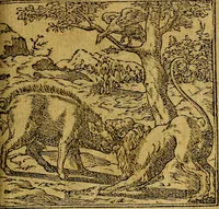 An illustration from Omnia D. And. Alciati emblemata : ad quae singula, praeter concinnas acutásque inscriptiones, lepidas & expressas imagines, ac caetera omnia, quae prioribus nostris editionibus cúm ad eorum distinctionem, tum ad ornatum & correctionem adhibita continebantur, : nunc primùm perelegantia persubtiliáq[ue] adiecta sunt epimuthia, quibus emblematum amplitudo quaecunq[ue] in iis dubia sunt aut obscura, tanquam perspicuis illustrantur (1566)