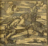 An illustration from Omnia D. And. Alciati emblemata : ad quae singula, praeter concinnas acutásque inscriptiones, lepidas & expressas imagines, ac caetera omnia, quae prioribus nostris editionibus cúm ad eorum distinctionem, tum ad ornatum & correctionem adhibita continebantur, : nunc primùm perelegantia persubtiliáq[ue] adiecta sunt epimuthia, quibus emblematum amplitudo quaecunq[ue] in iis dubia sunt aut obscura, tanquam perspicuis illustrantur (1566)