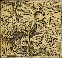 Picture 7 of 238 from Omnia D. And. Alciati emblemata : ad quae singula, praeter concinnas acutásque inscriptiones, lepidas & expressas imagines, ac caetera omnia, quae prioribus nostris editionibus cúm ad eorum distinctionem, tum ad ornatum & correctionem adhibita continebantur, : nunc primùm perelegantia persubtiliáq[ue] adiecta sunt epimuthia, quibus emblematum amplitudo quaecunq[ue] in iis dubia sunt aut obscura, tanquam perspicuis illustrantur (1566), leaf 16