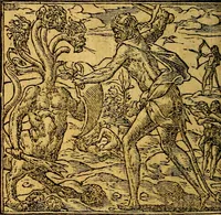 An illustration from Omnia D. And. Alciati emblemata : ad quae singula, praeter concinnas acutásque inscriptiones, lepidas & expressas imagines, ac caetera omnia, quae prioribus nostris editionibus cúm ad eorum distinctionem, tum ad ornatum & correctionem adhibita continebantur, : nunc primùm perelegantia persubtiliáq[ue] adiecta sunt epimuthia, quibus emblematum amplitudo quaecunq[ue] in iis dubia sunt aut obscura, tanquam perspicuis illustrantur (1566)