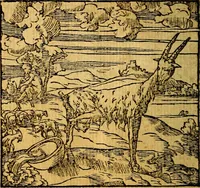 Picture 156 of 238 from Omnia D. And. Alciati emblemata : ad quae singula, praeter concinnas acutásque inscriptiones, lepidas & expressas imagines, ac caetera omnia, quae prioribus nostris editionibus cúm ad eorum distinctionem, tum ad ornatum & correctionem adhibita continebantur, : nunc primùm perelegantia persubtiliáq[ue] adiecta sunt epimuthia, quibus emblematum amplitudo quaecunq[ue] in iis dubia sunt aut obscura, tanquam perspicuis illustrantur (1566), leaf 169