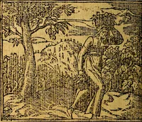 An illustration from Omnia D. And. Alciati emblemata : ad quae singula, praeter concinnas acutásque inscriptiones, lepidas & expressas imagines, ac caetera omnia, quae prioribus nostris editionibus cúm ad eorum distinctionem, tum ad ornatum & correctionem adhibita continebantur, : nunc primùm perelegantia persubtiliáq[ue] adiecta sunt epimuthia, quibus emblematum amplitudo quaecunq[ue] in iis dubia sunt aut obscura, tanquam perspicuis illustrantur (1566)