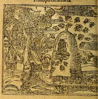 Picture 166 of 238 from Omnia D. And. Alciati emblemata : ad quae singula, praeter concinnas acutásque inscriptiones, lepidas & expressas imagines, ac caetera omnia, quae prioribus nostris editionibus cúm ad eorum distinctionem, tum ad ornatum & correctionem adhibita continebantur, : nunc primùm perelegantia persubtiliáq[ue] adiecta sunt epimuthia, quibus emblematum amplitudo quaecunq[ue] in iis dubia sunt aut obscura, tanquam perspicuis illustrantur (1566), leaf 179