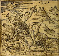 An illustration from Omnia D. And. Alciati emblemata : ad quae singula, praeter concinnas acutásque inscriptiones, lepidas & expressas imagines, ac caetera omnia, quae prioribus nostris editionibus cúm ad eorum distinctionem, tum ad ornatum & correctionem adhibita continebantur, : nunc primùm perelegantia persubtiliáq[ue] adiecta sunt epimuthia, quibus emblematum amplitudo quaecunq[ue] in iis dubia sunt aut obscura, tanquam perspicuis illustrantur (1566)