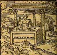 Picture 175 of 238 from Omnia D. And. Alciati emblemata : ad quae singula, praeter concinnas acutásque inscriptiones, lepidas & expressas imagines, ac caetera omnia, quae prioribus nostris editionibus cúm ad eorum distinctionem, tum ad ornatum & correctionem adhibita continebantur, : nunc primùm perelegantia persubtiliáq[ue] adiecta sunt epimuthia, quibus emblematum amplitudo quaecunq[ue] in iis dubia sunt aut obscura, tanquam perspicuis illustrantur (1566), leaf 189