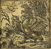 An illustration from Omnia D. And. Alciati emblemata : ad quae singula, praeter concinnas acutásque inscriptiones, lepidas & expressas imagines, ac caetera omnia, quae prioribus nostris editionibus cúm ad eorum distinctionem, tum ad ornatum & correctionem adhibita continebantur, : nunc primùm perelegantia persubtiliáq[ue] adiecta sunt epimuthia, quibus emblematum amplitudo quaecunq[ue] in iis dubia sunt aut obscura, tanquam perspicuis illustrantur (1566)