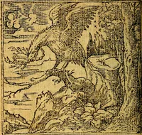 An illustration from Omnia D. And. Alciati emblemata : ad quae singula, praeter concinnas acutásque inscriptiones, lepidas & expressas imagines, ac caetera omnia, quae prioribus nostris editionibus cúm ad eorum distinctionem, tum ad ornatum & correctionem adhibita continebantur, : nunc primùm perelegantia persubtiliáq[ue] adiecta sunt epimuthia, quibus emblematum amplitudo quaecunq[ue] in iis dubia sunt aut obscura, tanquam perspicuis illustrantur (1566)