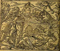 Picture 207 of 238 from Omnia D. And. Alciati emblemata : ad quae singula, praeter concinnas acutásque inscriptiones, lepidas & expressas imagines, ac caetera omnia, quae prioribus nostris editionibus cúm ad eorum distinctionem, tum ad ornatum & correctionem adhibita continebantur, : nunc primùm perelegantia persubtiliáq[ue] adiecta sunt epimuthia, quibus emblematum amplitudo quaecunq[ue] in iis dubia sunt aut obscura, tanquam perspicuis illustrantur (1566), leaf 225
