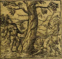 An illustration from Omnia D. And. Alciati emblemata : ad quae singula, praeter concinnas acutásque inscriptiones, lepidas & expressas imagines, ac caetera omnia, quae prioribus nostris editionibus cúm ad eorum distinctionem, tum ad ornatum & correctionem adhibita continebantur, : nunc primùm perelegantia persubtiliáq[ue] adiecta sunt epimuthia, quibus emblematum amplitudo quaecunq[ue] in iis dubia sunt aut obscura, tanquam perspicuis illustrantur (1566)