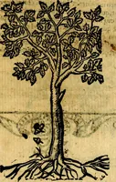 Picture 221 of 238 from Omnia D. And. Alciati emblemata : ad quae singula, praeter concinnas acutásque inscriptiones, lepidas & expressas imagines, ac caetera omnia, quae prioribus nostris editionibus cúm ad eorum distinctionem, tum ad ornatum & correctionem adhibita continebantur, : nunc primùm perelegantia persubtiliáq[ue] adiecta sunt epimuthia, quibus emblematum amplitudo quaecunq[ue] in iis dubia sunt aut obscura, tanquam perspicuis illustrantur (1566), leaf 244