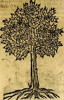 Picture 231 of 238 from Omnia D. And. Alciati emblemata : ad quae singula, praeter concinnas acutásque inscriptiones, lepidas & expressas imagines, ac caetera omnia, quae prioribus nostris editionibus cúm ad eorum distinctionem, tum ad ornatum & correctionem adhibita continebantur, : nunc primùm perelegantia persubtiliáq[ue] adiecta sunt epimuthia, quibus emblematum amplitudo quaecunq[ue] in iis dubia sunt aut obscura, tanquam perspicuis illustrantur (1566), leaf 254