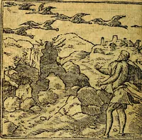 An illustration from Omnia D. And. Alciati emblemata : ad quae singula, praeter concinnas acutásque inscriptiones, lepidas & expressas imagines, ac caetera omnia, quae prioribus nostris editionibus cúm ad eorum distinctionem, tum ad ornatum & correctionem adhibita continebantur, : nunc primùm perelegantia persubtiliáq[ue] adiecta sunt epimuthia, quibus emblematum amplitudo quaecunq[ue] in iis dubia sunt aut obscura, tanquam perspicuis illustrantur (1566)