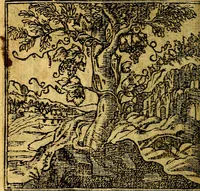 An illustration from Omnia D. And. Alciati emblemata : ad quae singula, praeter concinnas acutásque inscriptiones, lepidas & expressas imagines, ac caetera omnia, quae prioribus nostris editionibus cúm ad eorum distinctionem, tum ad ornatum & correctionem adhibita continebantur, : nunc primùm perelegantia persubtiliáq[ue] adiecta sunt epimuthia, quibus emblematum amplitudo quaecunq[ue] in iis dubia sunt aut obscura, tanquam perspicuis illustrantur (1566)
