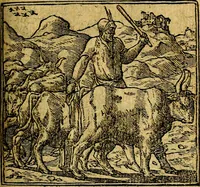 Picture 40 of 238 from Omnia D. And. Alciati emblemata : ad quae singula, praeter concinnas acutásque inscriptiones, lepidas & expressas imagines, ac caetera omnia, quae prioribus nostris editionibus cúm ad eorum distinctionem, tum ad ornatum & correctionem adhibita continebantur, : nunc primùm perelegantia persubtiliáq[ue] adiecta sunt epimuthia, quibus emblematum amplitudo quaecunq[ue] in iis dubia sunt aut obscura, tanquam perspicuis illustrantur (1566), leaf 50