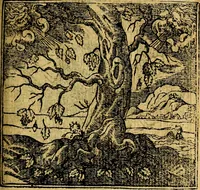 An illustration from Omnia D. And. Alciati emblemata : ad quae singula, praeter concinnas acutásque inscriptiones, lepidas & expressas imagines, ac caetera omnia, quae prioribus nostris editionibus cúm ad eorum distinctionem, tum ad ornatum & correctionem adhibita continebantur, : nunc primùm perelegantia persubtiliáq[ue] adiecta sunt epimuthia, quibus emblematum amplitudo quaecunq[ue] in iis dubia sunt aut obscura, tanquam perspicuis illustrantur (1566)