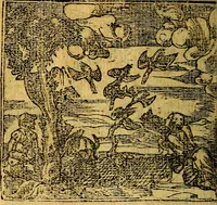 An illustration from Omnia D. And. Alciati emblemata : ad quae singula, praeter concinnas acutásque inscriptiones, lepidas & expressas imagines, ac caetera omnia, quae prioribus nostris editionibus cúm ad eorum distinctionem, tum ad ornatum & correctionem adhibita continebantur, : nunc primùm perelegantia persubtiliáq[ue] adiecta sunt epimuthia, quibus emblematum amplitudo quaecunq[ue] in iis dubia sunt aut obscura, tanquam perspicuis illustrantur (1566)