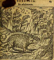 Picture 60 of 238 from Omnia D. And. Alciati emblemata : ad quae singula, praeter concinnas acutásque inscriptiones, lepidas & expressas imagines, ac caetera omnia, quae prioribus nostris editionibus cúm ad eorum distinctionem, tum ad ornatum & correctionem adhibita continebantur, : nunc primùm perelegantia persubtiliáq[ue] adiecta sunt epimuthia, quibus emblematum amplitudo quaecunq[ue] in iis dubia sunt aut obscura, tanquam perspicuis illustrantur (1566), leaf 70