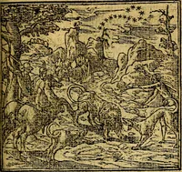 Picture 70 of 238 from Omnia D. And. Alciati emblemata : ad quae singula, praeter concinnas acutásque inscriptiones, lepidas & expressas imagines, ac caetera omnia, quae prioribus nostris editionibus cúm ad eorum distinctionem, tum ad ornatum & correctionem adhibita continebantur, : nunc primùm perelegantia persubtiliáq[ue] adiecta sunt epimuthia, quibus emblematum amplitudo quaecunq[ue] in iis dubia sunt aut obscura, tanquam perspicuis illustrantur (1566), leaf 80