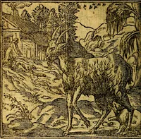 An illustration from Omnia D. And. Alciati emblemata : ad quae singula, praeter concinnas acutásque inscriptiones, lepidas & expressas imagines, ac caetera omnia, quae prioribus nostris editionibus cúm ad eorum distinctionem, tum ad ornatum & correctionem adhibita continebantur, : nunc primùm perelegantia persubtiliáq[ue] adiecta sunt epimuthia, quibus emblematum amplitudo quaecunq[ue] in iis dubia sunt aut obscura, tanquam perspicuis illustrantur (1566)