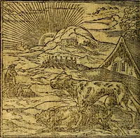 Picture 73 of 238 from Omnia D. And. Alciati emblemata : ad quae singula, praeter concinnas acutásque inscriptiones, lepidas & expressas imagines, ac caetera omnia, quae prioribus nostris editionibus cúm ad eorum distinctionem, tum ad ornatum & correctionem adhibita continebantur, : nunc primùm perelegantia persubtiliáq[ue] adiecta sunt epimuthia, quibus emblematum amplitudo quaecunq[ue] in iis dubia sunt aut obscura, tanquam perspicuis illustrantur (1566), leaf 83