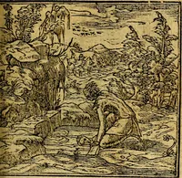 Picture 76 of 238 from Omnia D. And. Alciati emblemata : ad quae singula, praeter concinnas acutásque inscriptiones, lepidas & expressas imagines, ac caetera omnia, quae prioribus nostris editionibus cúm ad eorum distinctionem, tum ad ornatum & correctionem adhibita continebantur, : nunc primùm perelegantia persubtiliáq[ue] adiecta sunt epimuthia, quibus emblematum amplitudo quaecunq[ue] in iis dubia sunt aut obscura, tanquam perspicuis illustrantur (1566), leaf 86