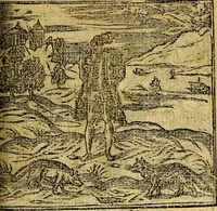 An illustration from Omnia D. And. Alciati emblemata : ad quae singula, praeter concinnas acutásque inscriptiones, lepidas & expressas imagines, ac caetera omnia, quae prioribus nostris editionibus cúm ad eorum distinctionem, tum ad ornatum & correctionem adhibita continebantur, : nunc primùm perelegantia persubtiliáq[ue] adiecta sunt epimuthia, quibus emblematum amplitudo quaecunq[ue] in iis dubia sunt aut obscura, tanquam perspicuis illustrantur (1566)