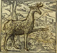 An illustration from Omnia D. And. Alciati Emblemata : ad qvae singula praeter concinnas acutásque inscriptiones, lepidas & expressas imagines, ac caetera omnia, quae prioribus nostris editionibus cùm ad eorum distinctionem, tum ad ornatum & correctionem adhibita continebantur, : nunc primùm perelegantia persubtiliaq́ [ue] (1564)