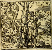 An illustration from Omnia D. And. Alciati Emblemata : ad qvae singula praeter concinnas acutásque inscriptiones, lepidas & expressas imagines, ac caetera omnia, quae prioribus nostris editionibus cùm ad eorum distinctionem, tum ad ornatum & correctionem adhibita continebantur, : nunc primùm perelegantia persubtiliaq́ [ue] (1564)